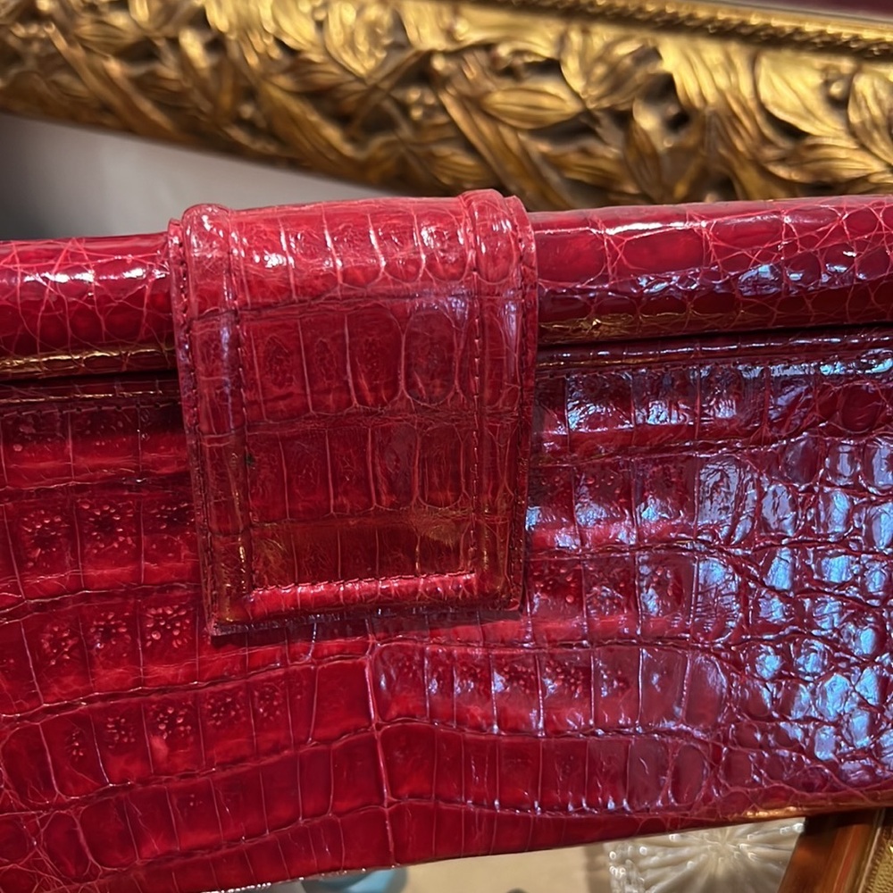 Red stunning Nancy Gonzalez clutch